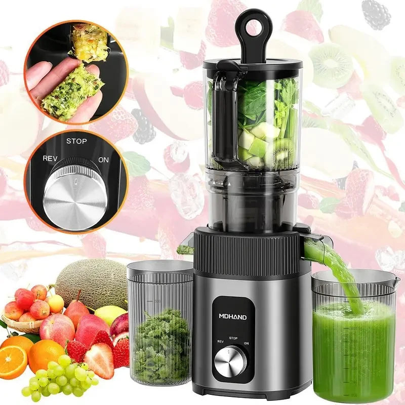 Cold Press Juicer