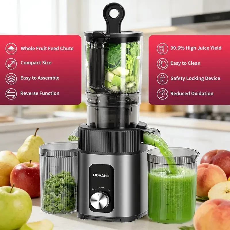 Cold Press Juicer